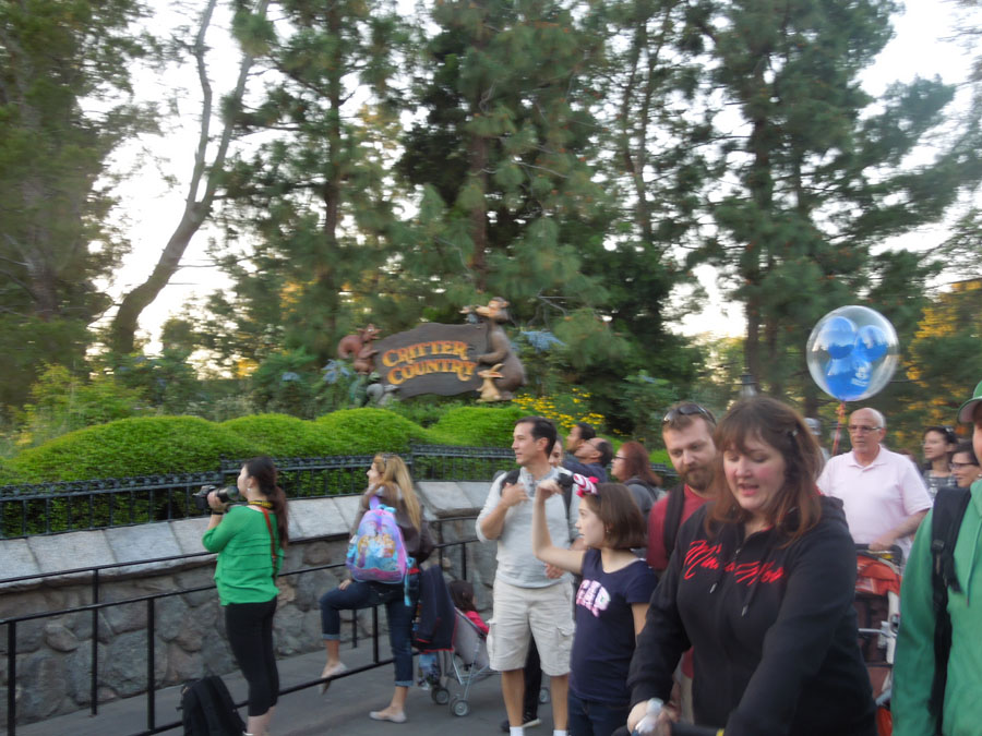 Disneyland Critter Country Riverside Picture